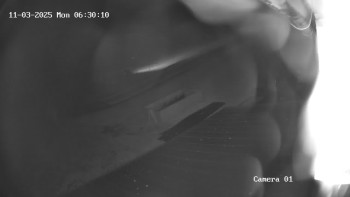 Snímek    3.11.2025 v 05:30