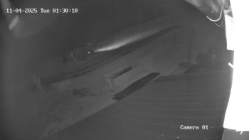 Snímek    4.11.2025 v 00:30