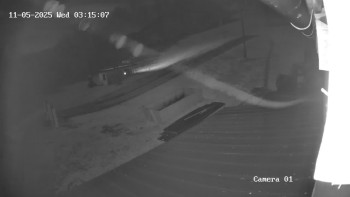 Snímek 5.11.2025 v 02:15