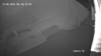 Snímek 6.11.2025 v 06:30