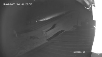 Snímek 8.11.2025 v 04:30