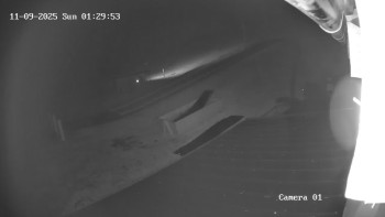 Snímek 9.11.2025 v 01:30