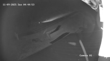 Snímek 9.11.2025 v 04:45