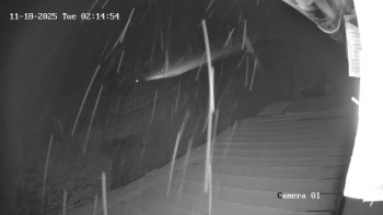 Snímek 18.11.2025 v 02:15