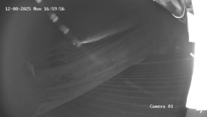 Ski Areál města Meziboří - Nástup na vlek - 8.12.2025 v 17:00 Ski Areál města Meziboří - Nástup na vlek - 8.12.2025 v 17:00