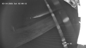 Ski Areál města Meziboří - Nástup na vlek - 14.3.2026 v 02:00 Ski Areál města Meziboří - Nástup na vlek - 14.3.2026 v 02:00