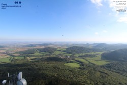 Mileschau