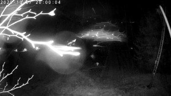 Snímek    27.10.2025 v 20:00