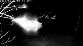 Snímek    27.10.2025 v 22:30