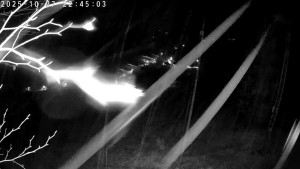 Lyžařský areál Dolní Dvůr - Údolí Dolní Dvůr - 27.10.2025 v 22:45 Lyžařský areál Dolní Dvůr - Údolí Dolní Dvůr - 27.10.2025 v 22:45