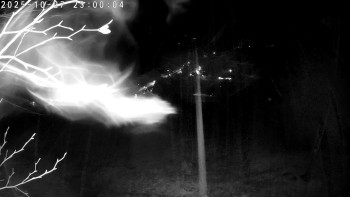 Snímek    27.10.2025 v 23:00