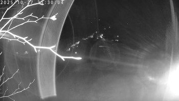 Snímek    27.10.2025 v 23:30
