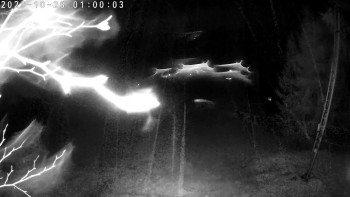 Snímek    28.10.2025 v 01:00