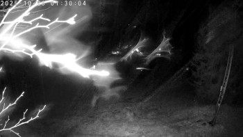 Snímek    28.10.2025 v 01:30