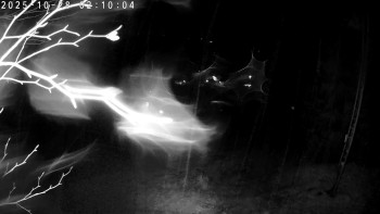 Snímek    28.10.2025 v 02:15