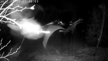 Snímek    28.10.2025 v 02:45