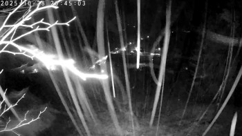 Snímek    28.10.2025 v 20:45