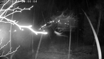 Snímek    28.10.2025 v 22:00