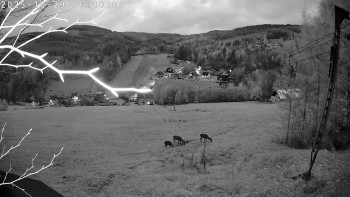 Snímek    29.10.2025 v 06:15