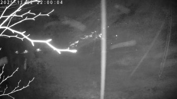 Snímek    2.11.2025 v 22:00