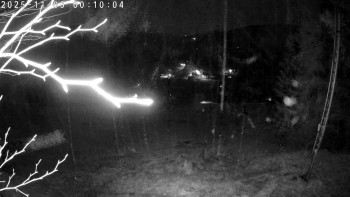 Snímek    3.11.2025 v 00:15