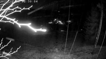 Snímek    3.11.2025 v 02:30