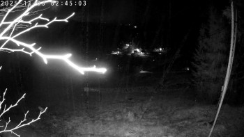 Snímek    3.11.2025 v 02:45