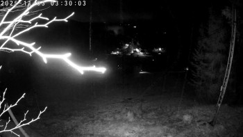 Snímek    3.11.2025 v 03:30