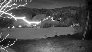 Snímek 4.11.2025 v 21:30