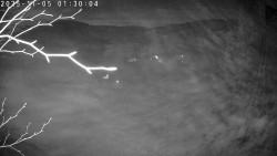 Údolí Dolní Dvůr