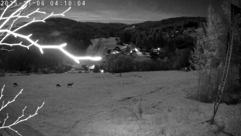 Snímek 6.11.2025 v 04:15