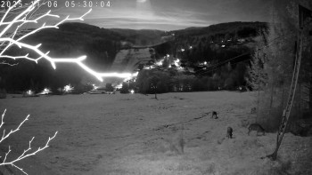 Snímek 6.11.2025 v 05:30