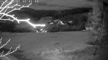 Snímek 7.11.2025 v 00:45