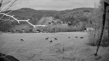 Snímek 7.11.2025 v 06:30