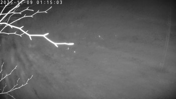 Snímek 9.11.2025 v 01:15