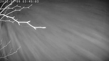 Snímek 9.11.2025 v 03:45