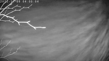 Snímek 9.11.2025 v 04:00