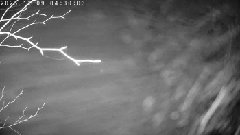 Snímek 9.11.2025 v 04:30