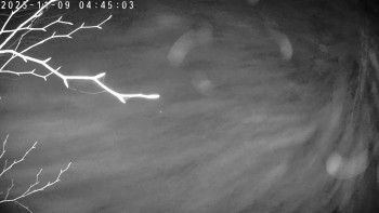 Snímek 9.11.2025 v 04:45