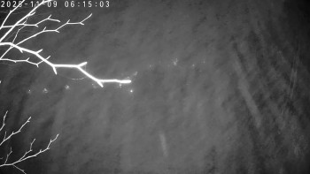 Snímek 9.11.2025 v 06:15