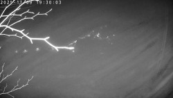 Údolí Dolní Dvůr