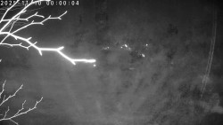 Údolí Dolní Dvůr