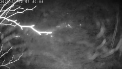 Údolí Dolní Dvůr