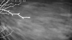 Údolí Dolní Dvůr