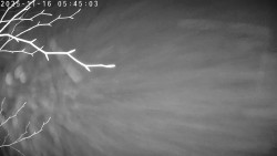 Údolí Dolní Dvůr