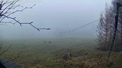 Údolí Dolní Dvůr