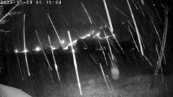 Údolí Dolní Dvůr