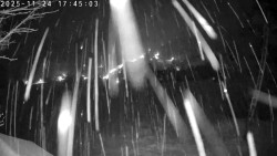 Údolí Dolní Dvůr