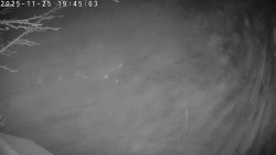 Údolí Dolní Dvůr