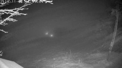 Údolí Dolní Dvůr